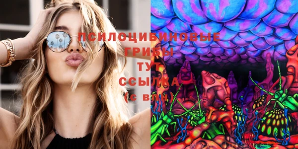 ешки Иннополис