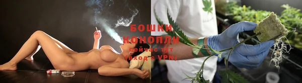 трава Инсар