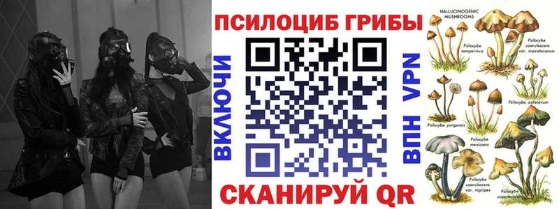 наркошоп  Мелеуз  Галлюциногенные грибы Psilocybine cubensis 