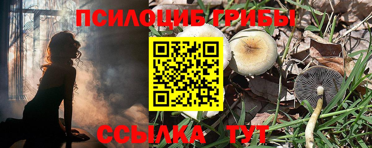 Мелеуз  Галлюциногенные грибы Magic Shrooms  Вход с VPN 