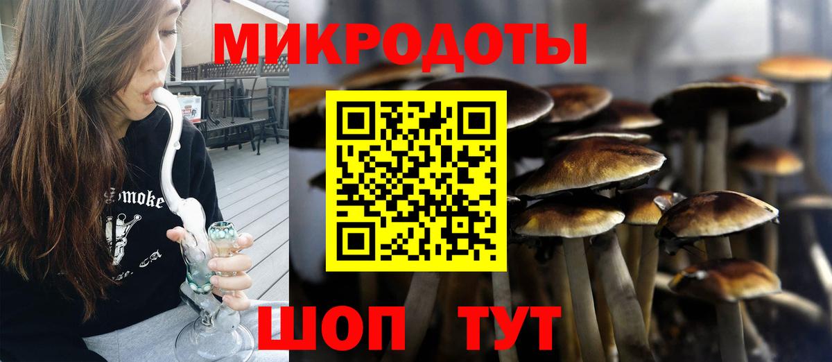 Псилоцибиновые грибы Psilocybine cubensis Мелеуз